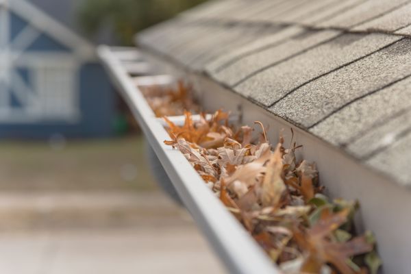 Leaf Barrier Installation in Lewis Center
